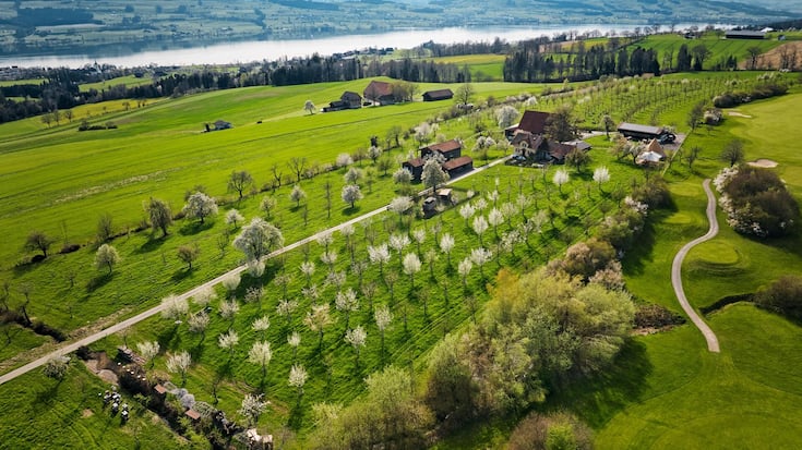 DJI_20240407093905_0019_D_conv.jpeg