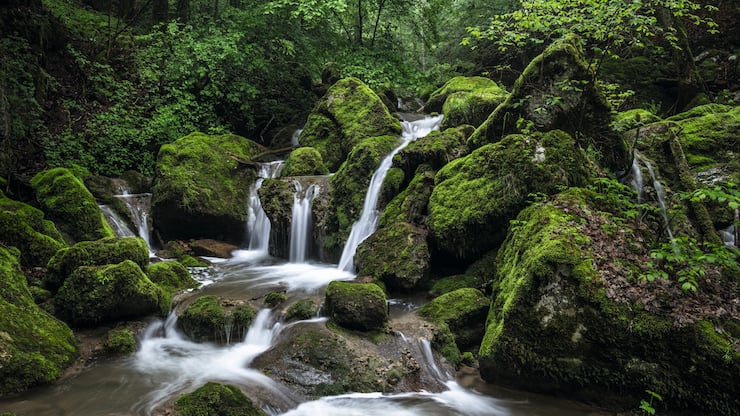 Twann-Tuescherz,Twannbachschlucht