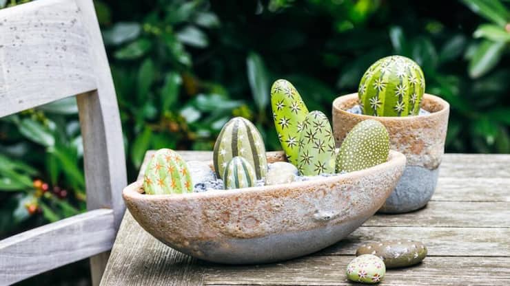 Versteinerter Kaktus