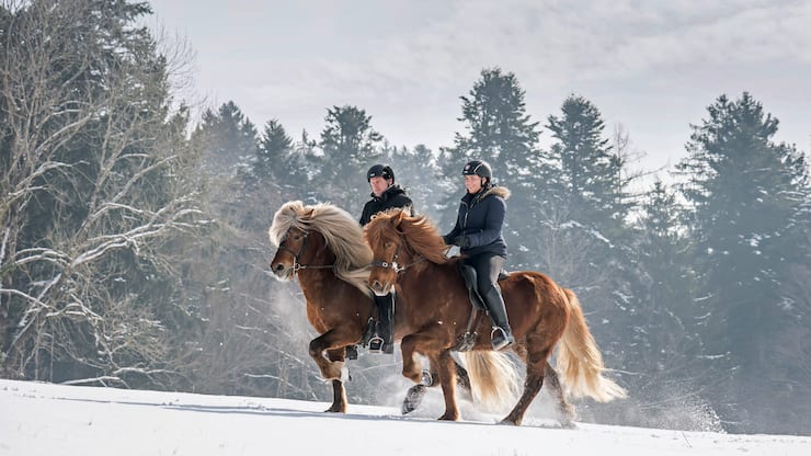 Islandpony im Zuercher Oberland: Oliver Egli und Caroline Wyser