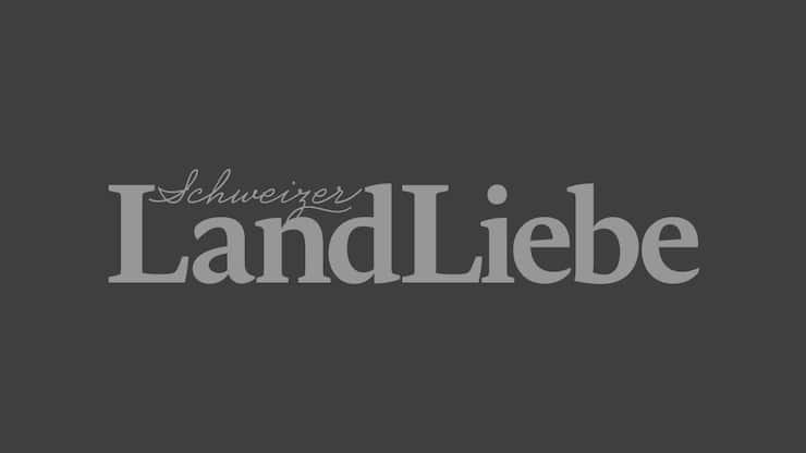Landliebe