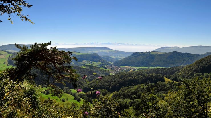 Prima Panorama