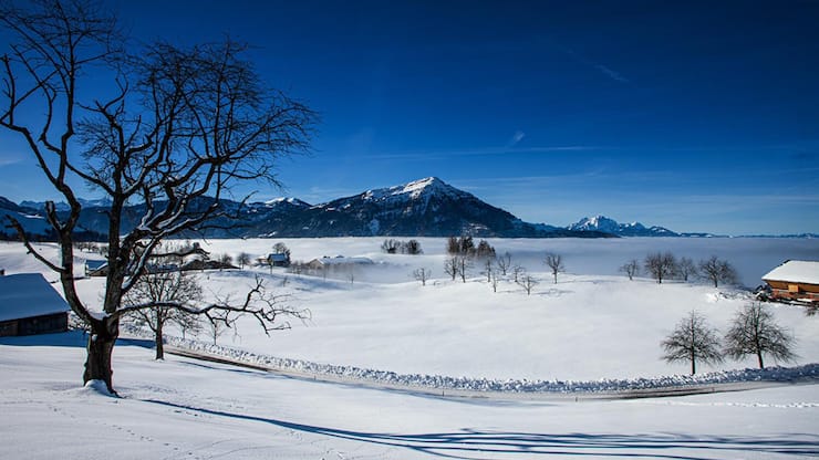 Wandern
