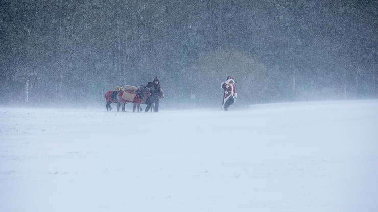 Samichlaus und Esel im Schnee
