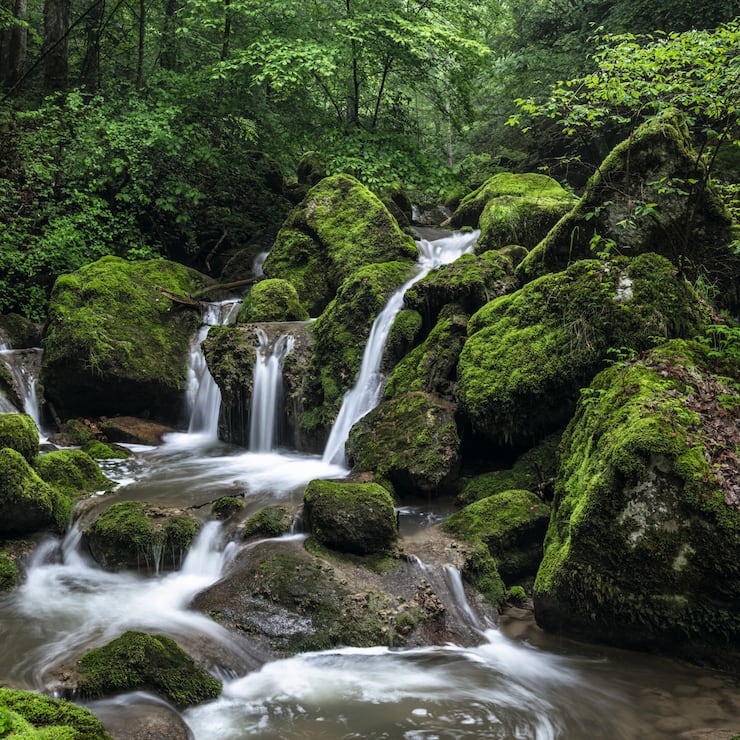 Twann-Tuescherz,Twannbachschlucht