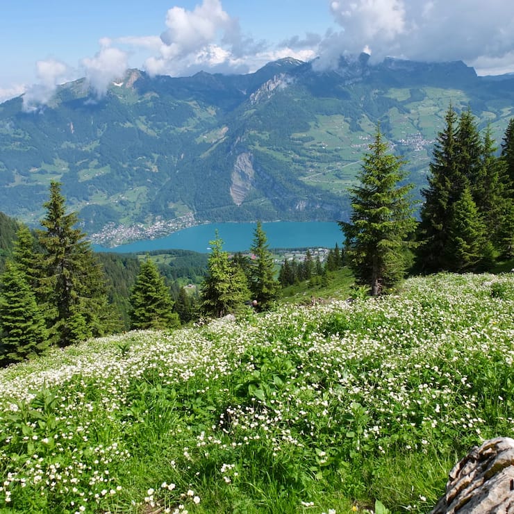 Wanderung am Weekend Nüenchamm