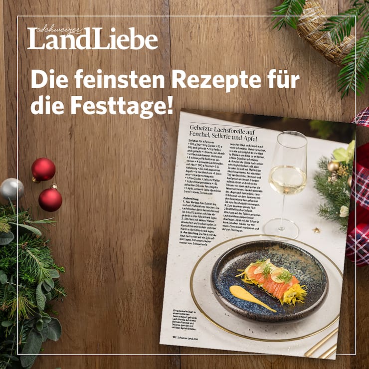 Festliches Rezepte-Dossier