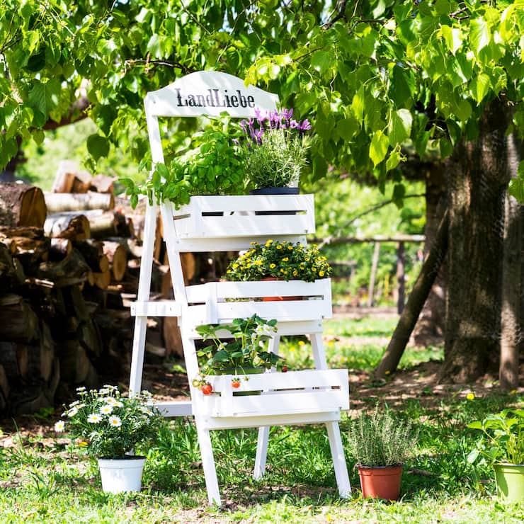 Pflanzentreppe Sandra Dangel