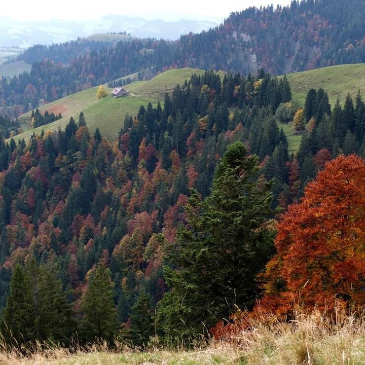 Hogerland
