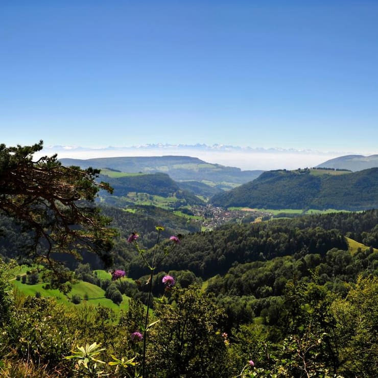 Prima Panorama
