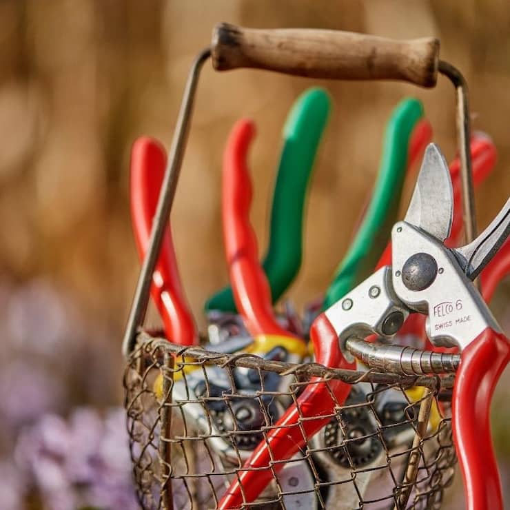 Newsletter Bilder Template - Garten