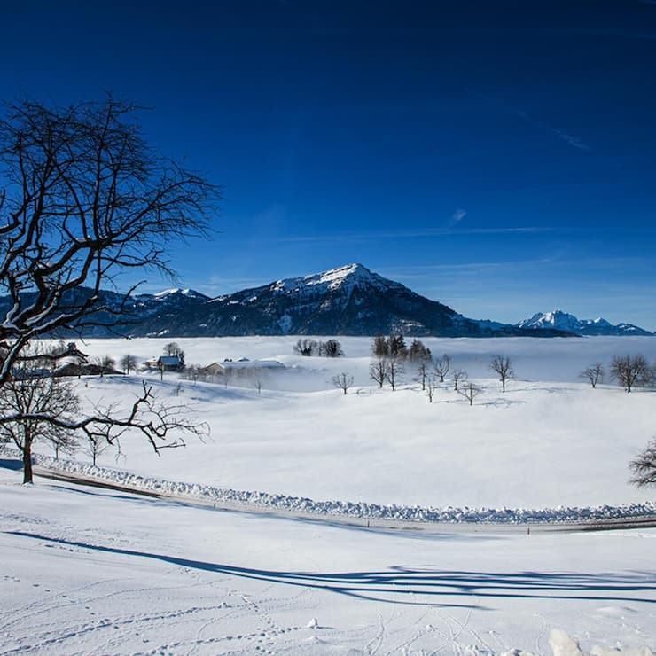Wandern