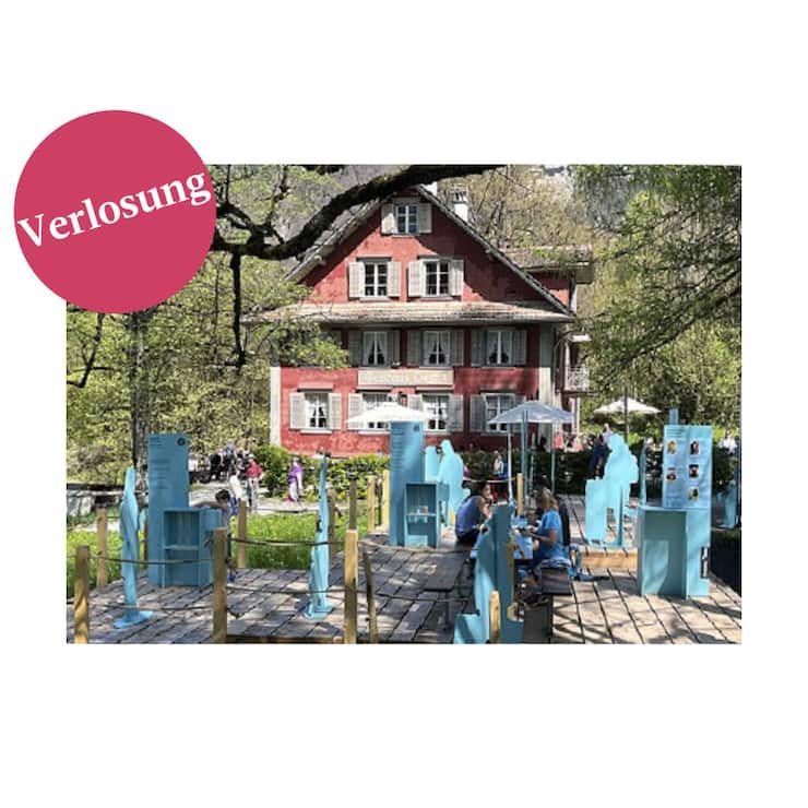 Freilichtmuseum Ballenberg