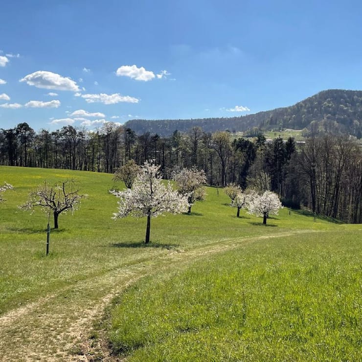 Wandern