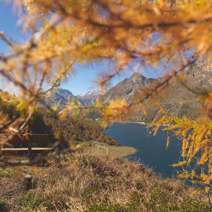 Wandern