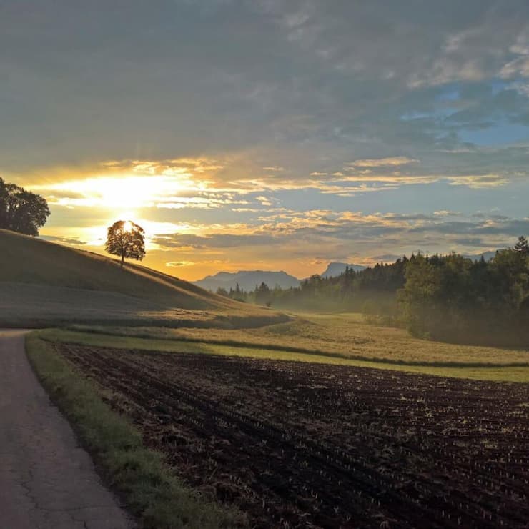 Wandern