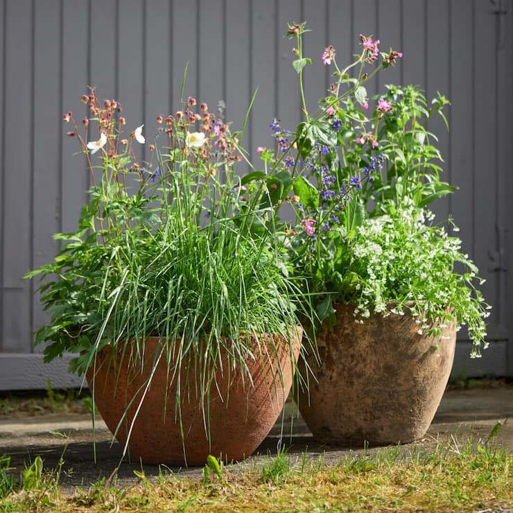 Gartenservice