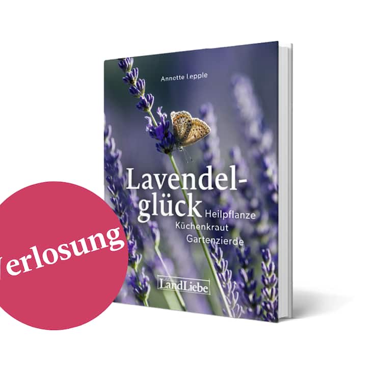 buchverlosung.png