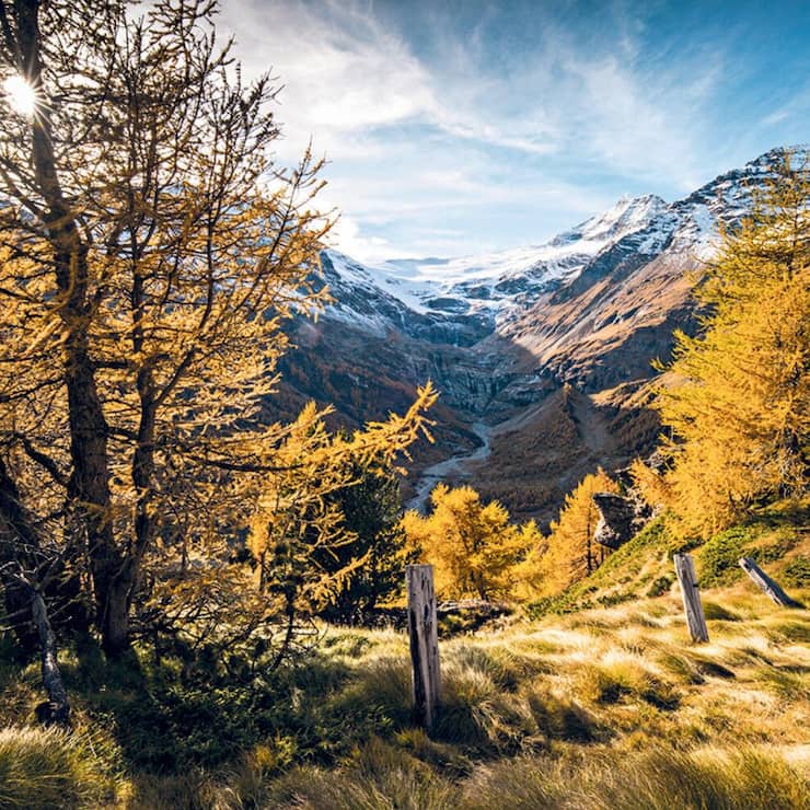 Wandern