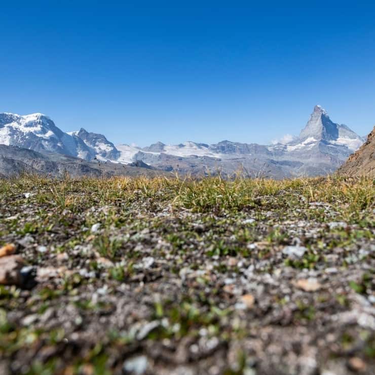 Wandern