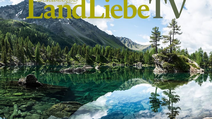 LandLiebe TV Wallpaper