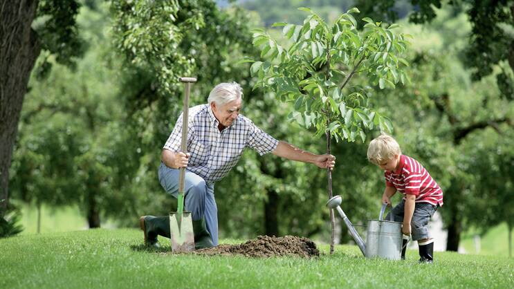 Naturnahe Pflanzenpflege verbindet die Generationen