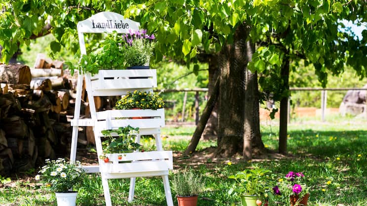Blumen, Gewürze oder Früchte – welches Töpfchen zuoberst auf dem Treppchen steht, entscheiden Sie!