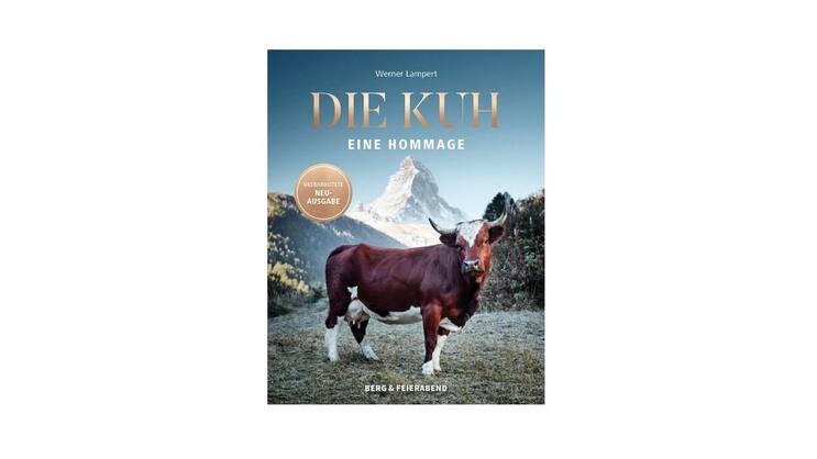 Newsletter Verlosung