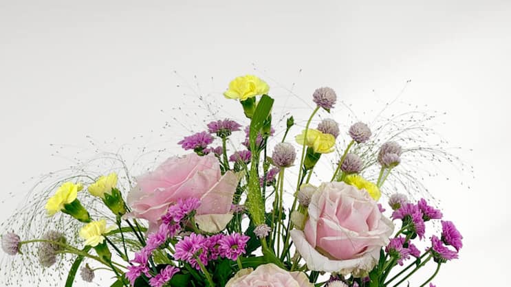 Design-#28-–-Pastel-Meadow-Whimsy_OPTIMIZED.jpg