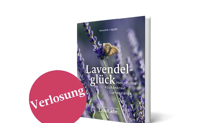 buchverlosung.png