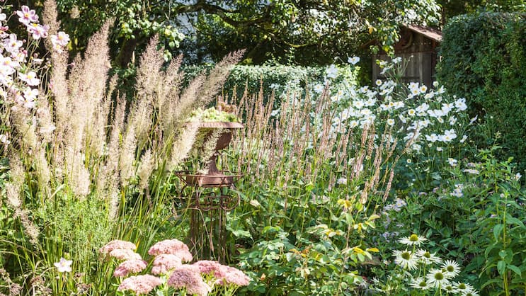 Gräser und spät blühende Stauden wie Fetthenne und Herbstanemone erfreuen im Spätsommer und bis in den Herbst hinein.