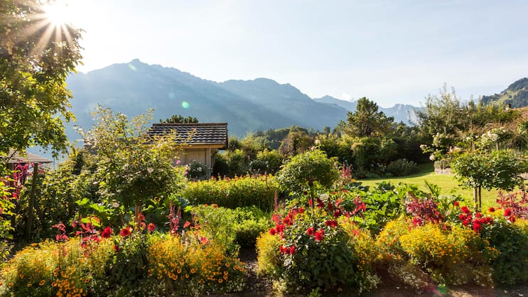 Der Blick schweift über fröhlich blühende Blumen- und Gemüsebeete bis zu den pittoresken Berner Voralpen.