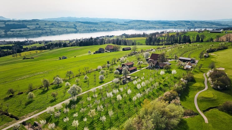 Ein Stück Himmel auf Erden: Die Hochstammobstbäume auf dem Archehof hoch über dem Sempachersee in schönster Blüte. Rechts grenzt das ­landwirtschaftliche Grundstück an den Golfplatz Sempach.