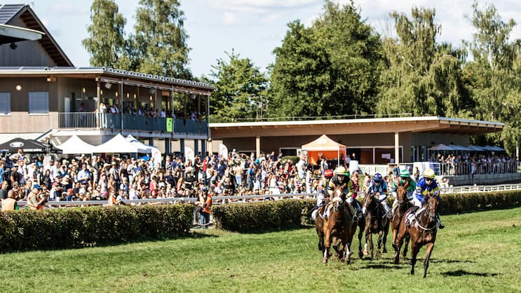 Horse Park Zürich Dielsdorf