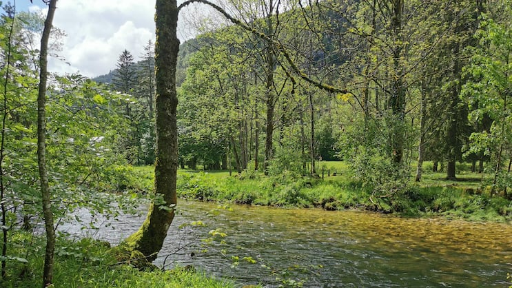 Nachdem die Orbe eine abenteuerliche Reise durch Klüfte und Höhlen gemeistert hat, plätschert sie durch den Talboden bei Vallorbe VD.