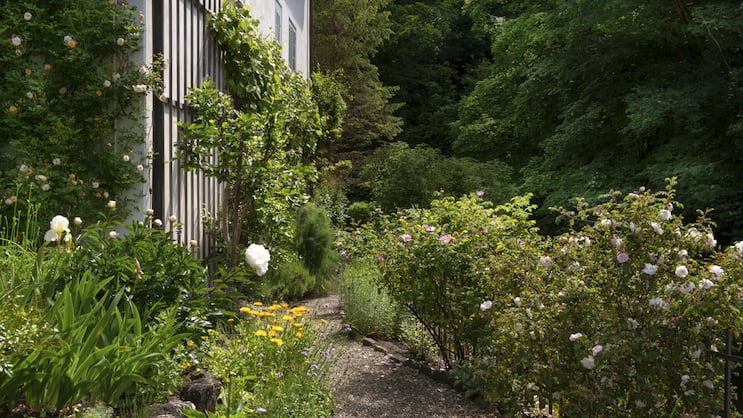 Ein Kiesweg führt vom kleinen Ziergarten in den grösseren, dahinter liegenden Gartenbereich. Die Wege und Beete sind bis heute mit den ursprünglichen formwilden Kalksteinen eingefasst.