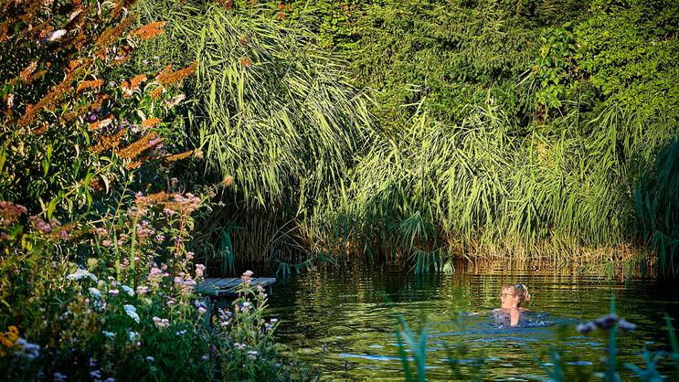Anna Ammann geniesst ein erfrischendes Bad im Schwimmteich. Schilf und Seggen helfen, das Wasser auf natürliche Weise zu reinigen.