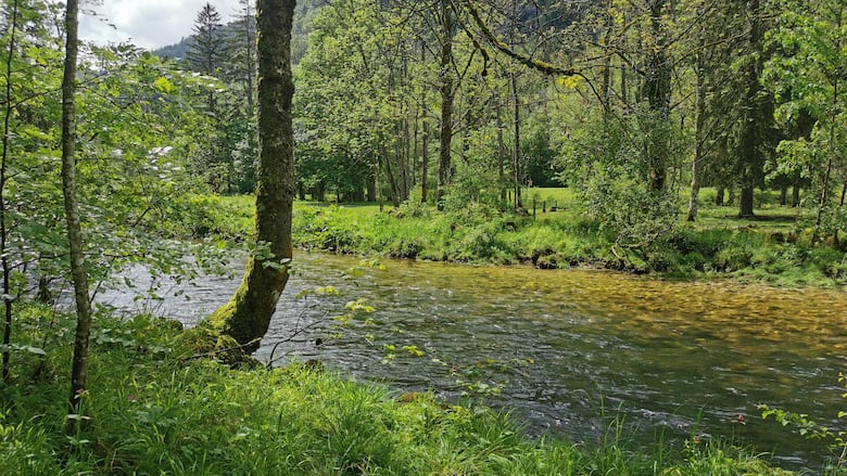 Nachdem die Orbe eine abenteuerliche Reise durch Klüfte und Höhlen gemeistert hat, plätschert sie durch den Talboden bei Vallorbe VD.