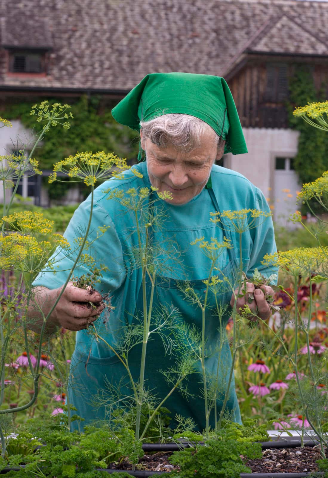 Schwester Ruth aus dem Kloster Wurmsbach in Rapperswil-Jona St. Gallen beim Jäten der Kräuterhochbeete