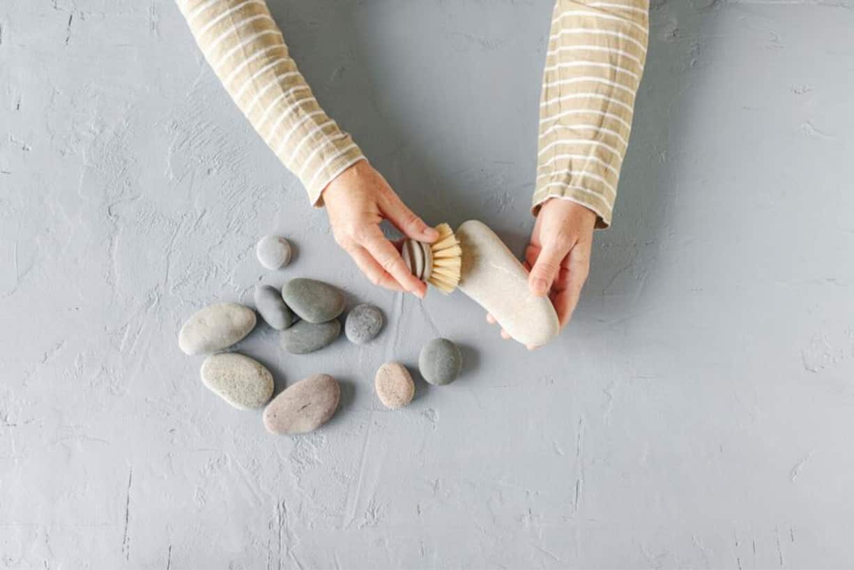 Versteinerter Kaktus