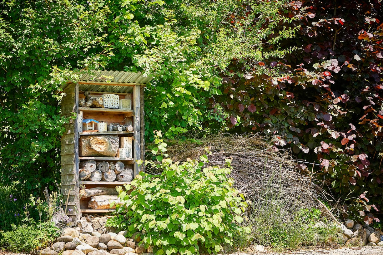 Wildbienen-Nisthilfe und Eidechsenhaufen