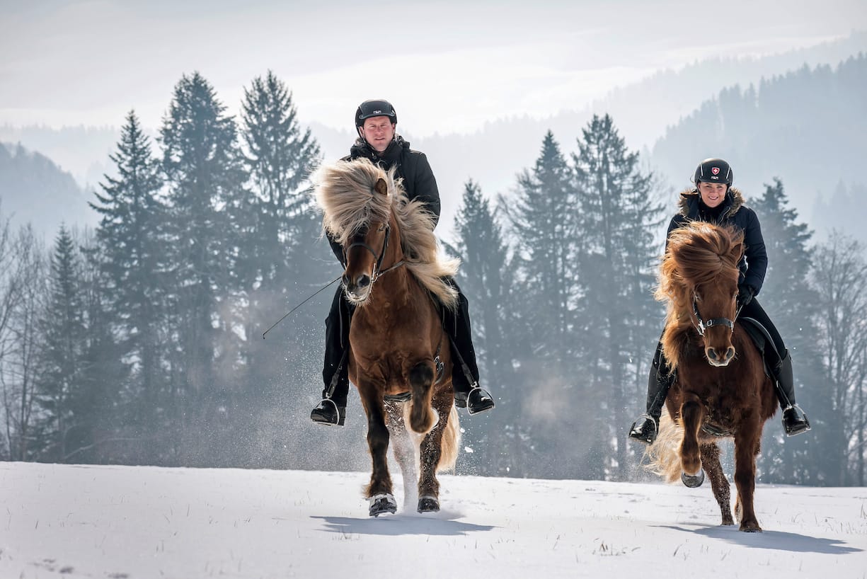 Islandponys: Oliver Egli mit Birkir und Caroline Wyser mit Kjudi