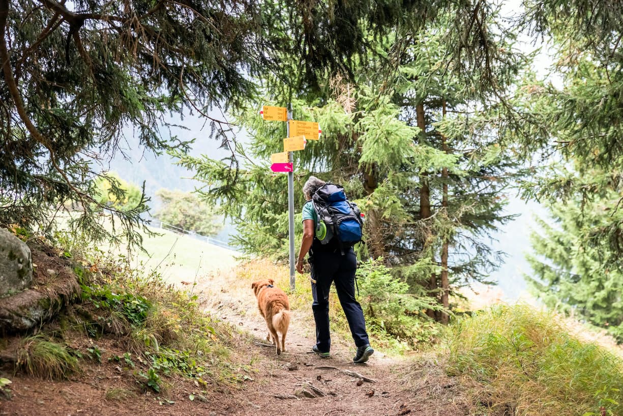 Mischlingshündin Tapas und Chefin Christine Nydegger beim Wandern