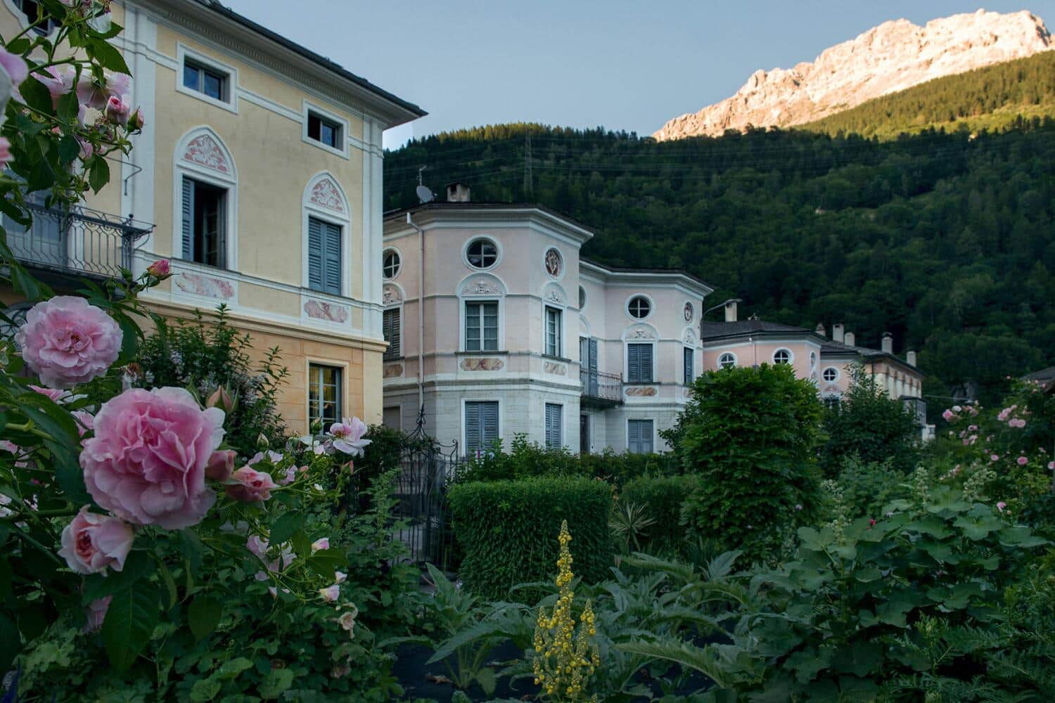 Garten