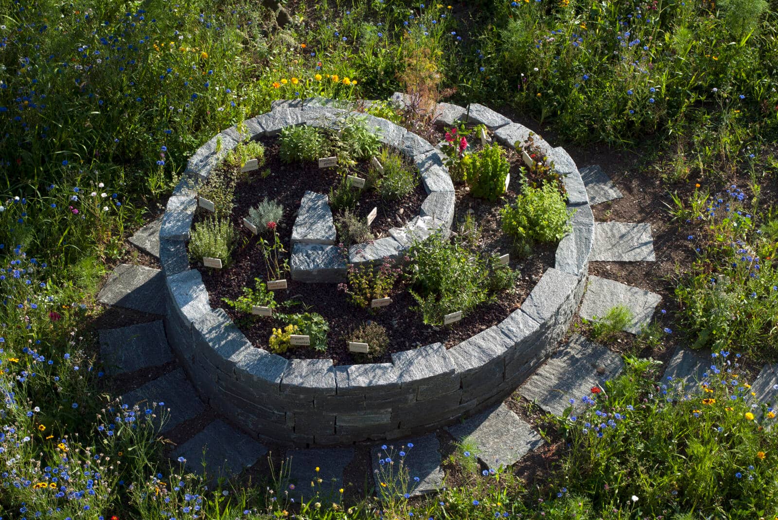 Kräuterspirale LandLiebe-Garten umgeben von blühenden Blumen