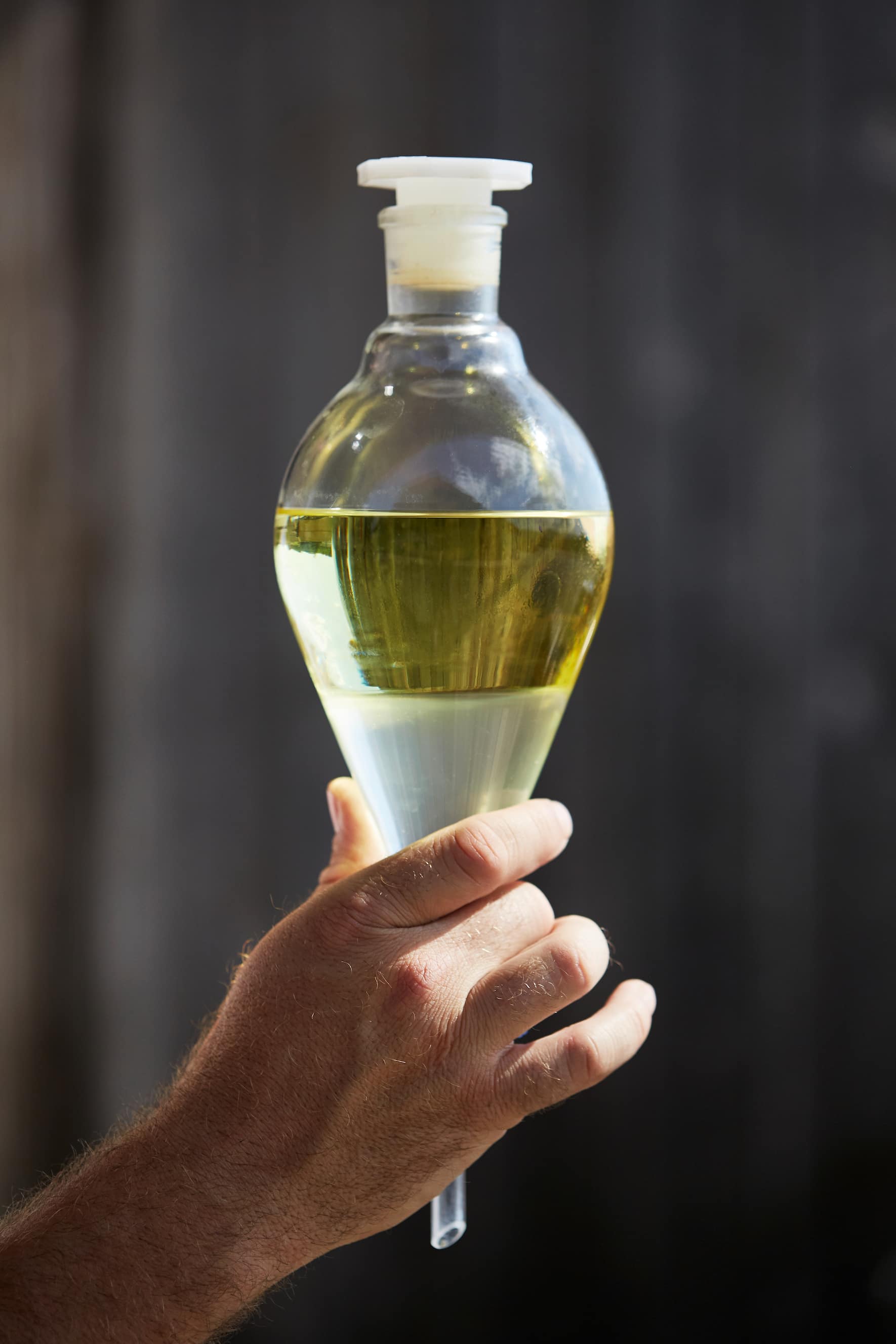 Flüssiges Gold nach der Destillation – Lavendelöl (obere Schicht), Hydrolat (unten)