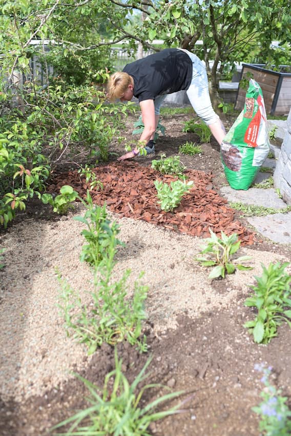 Gärtnerin Marietta Eggenberger bringt Rindenmulch aus