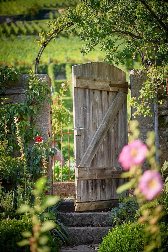 Rebberggarten