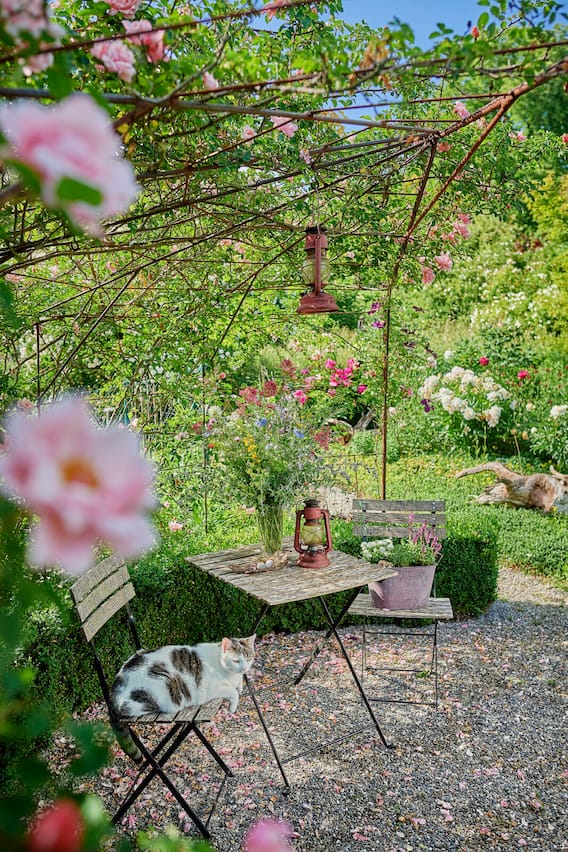 Garten mit Kater Nemo auf Gartenstuhl