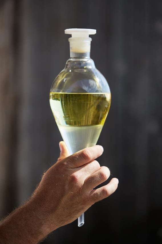 Flüssiges Gold nach der Destillation – Lavendelöl (obere Schicht), Hydrolat (unten)